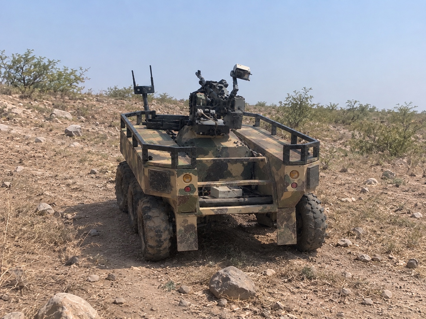 AXIS Arjun Type 1
